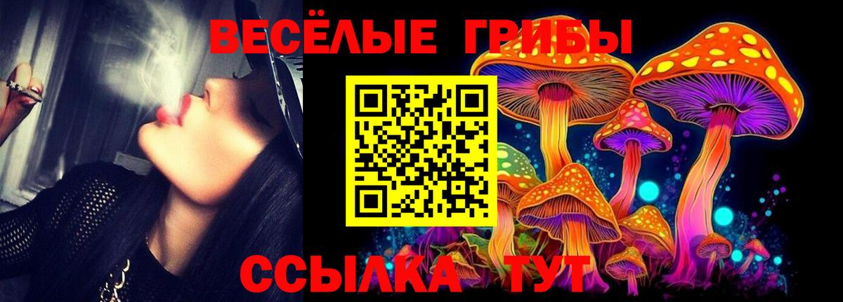 Псилоцибиновые грибы Psilocybe Нурлат